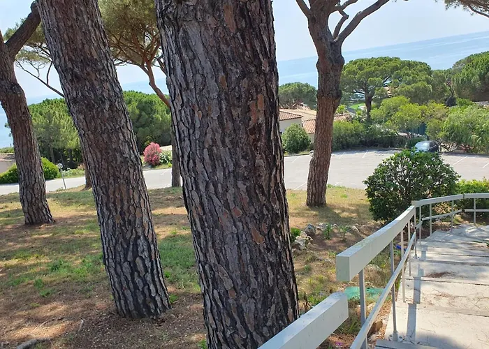 Beautiful With Pool In 생트막시메